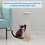 Grattoir Sisal