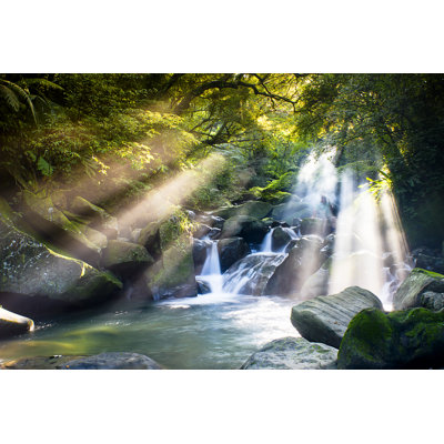 " Cascade Falls Over Mossy Rocks "