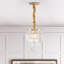 1 - Light Gold Chandelier Pendant