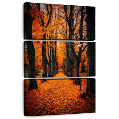 Arbres du parc Alvord en automne