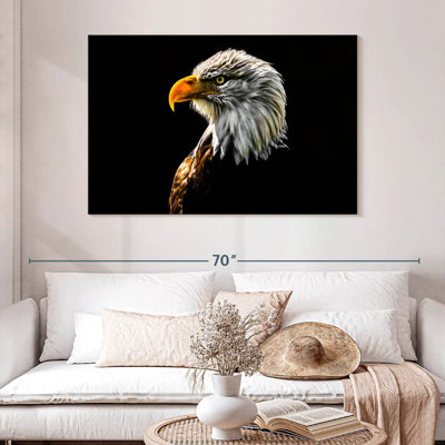 Gros plan d'un aigle à tête blanche