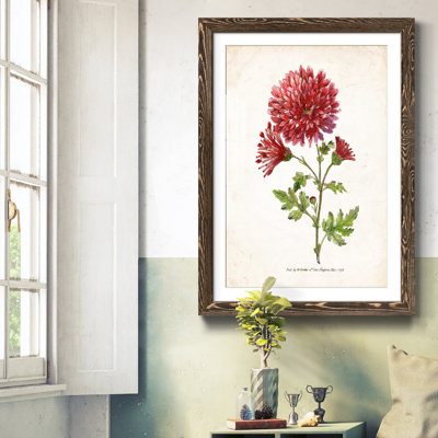 Zen Succulent III - Cadre photo, reproduction d'art sur papier