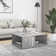 Godewyn Floor Shelf Coffee Table with Storage