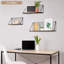 Mankin 3 Piece Floating Shelf