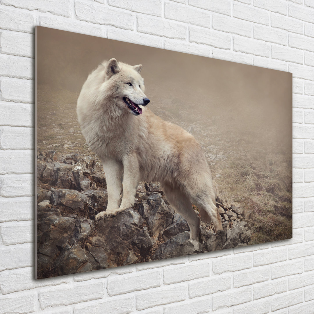 Glasbild Weißer Wolf auf dem Felsen