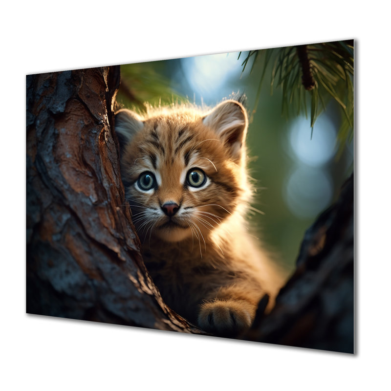 Mignon chaton tigre dans un arbre - tigre, art mural, Pas de métal encadré, H 12 po x l 20 po x P 1 po
