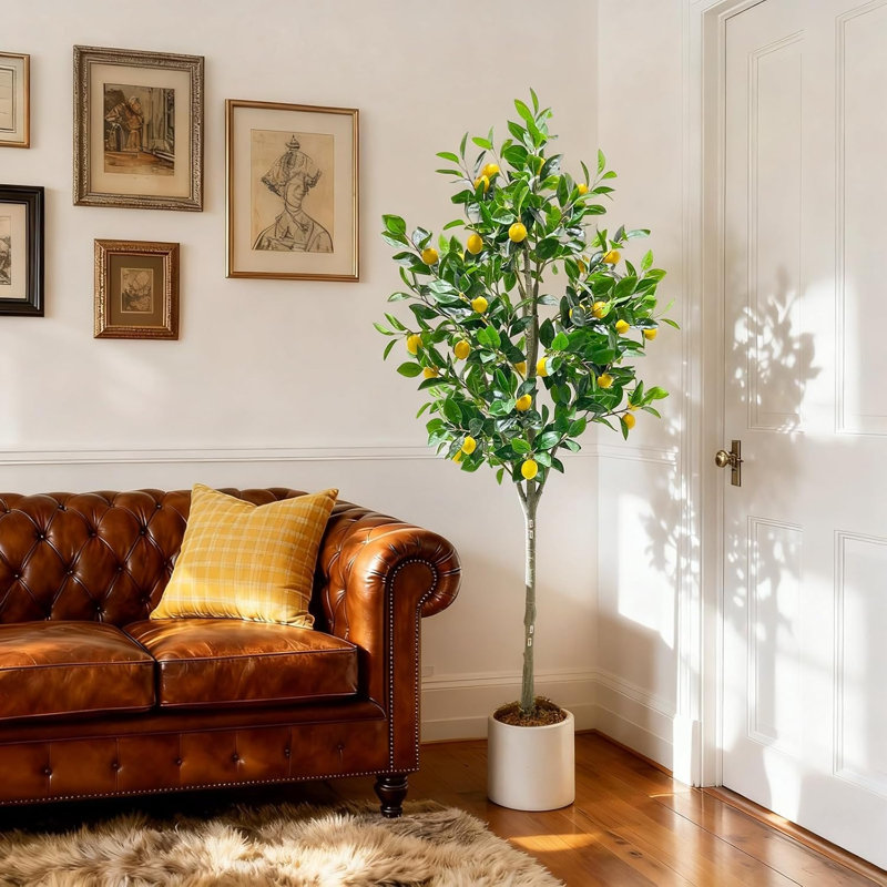 180cm Plant
