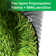 Artificial Grass Turf Customized Rolls