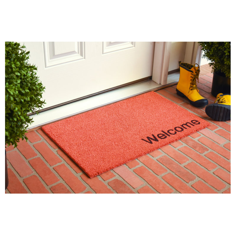 Tapis d'entrée antidérapant Kasper, L 24 po x L 36 po, Rose