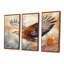 Brun, jaune, audacieux, aigle, vol d'oiseau-867430185-867430188