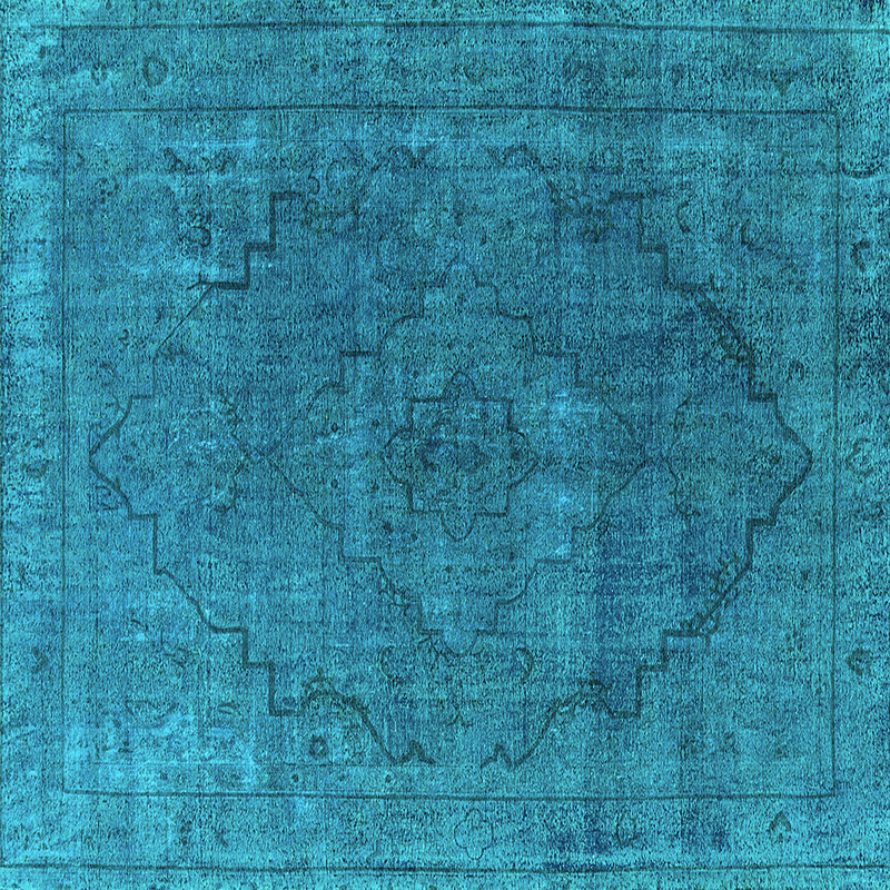 Maka Performance Oriental Indoor Rug, Square 3'