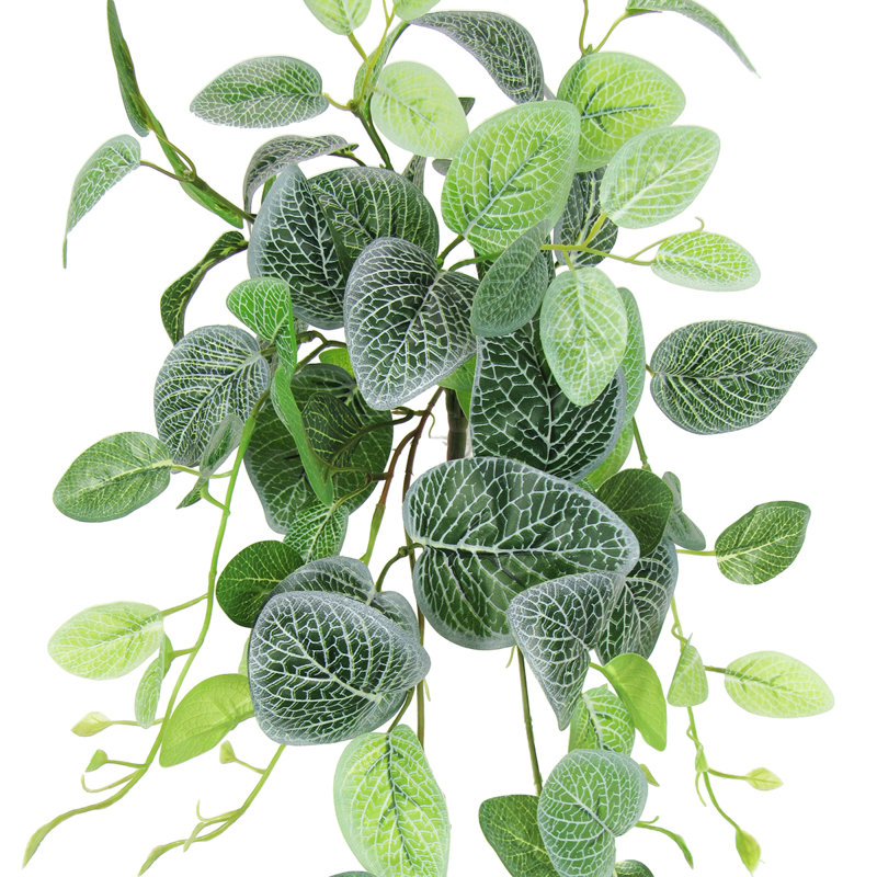 Plante artificielle suspendue lierre Fittonia, H 24 po x l 12 po x P 6 po