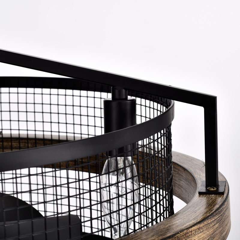 Ventilateur de plafond cage à 5 pales 20 po avec télécommande et ensemble d'éclairage Rishel