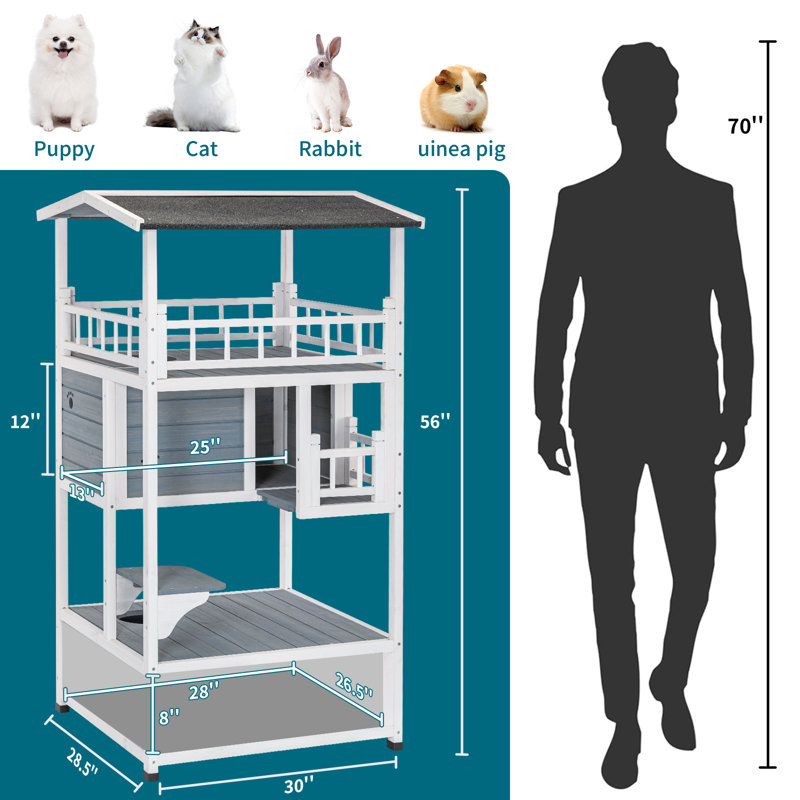 Maison de chat d'extérieur à toit durable