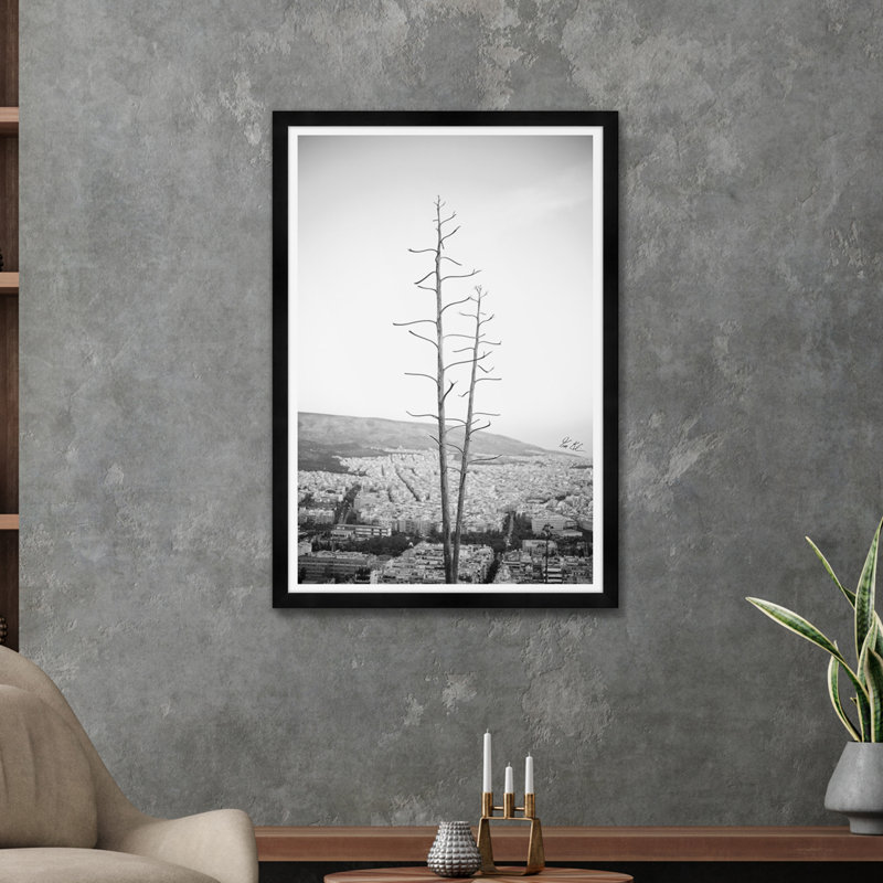 Agave sur les hauteurs d'Athènes III en noir et blanc, H 42 po x l 29 po x P 1,5 po, Noir