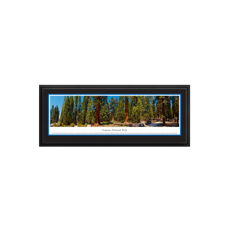 Sequoia National Park Panoramic Print, Framed, 18" H x 44" W