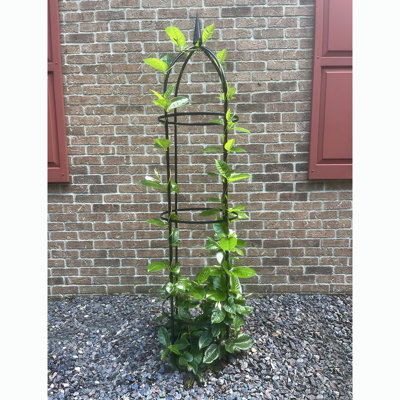 Obélisque de jardin en acier RHS 78,5 po pour plantes grimpantes