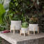 Jardinière en céramique et en grès sur support en bois de pin Pennsylvania, support à plante décoratif moderne avec un design élégant pour la maison ou le bureau-1776490601