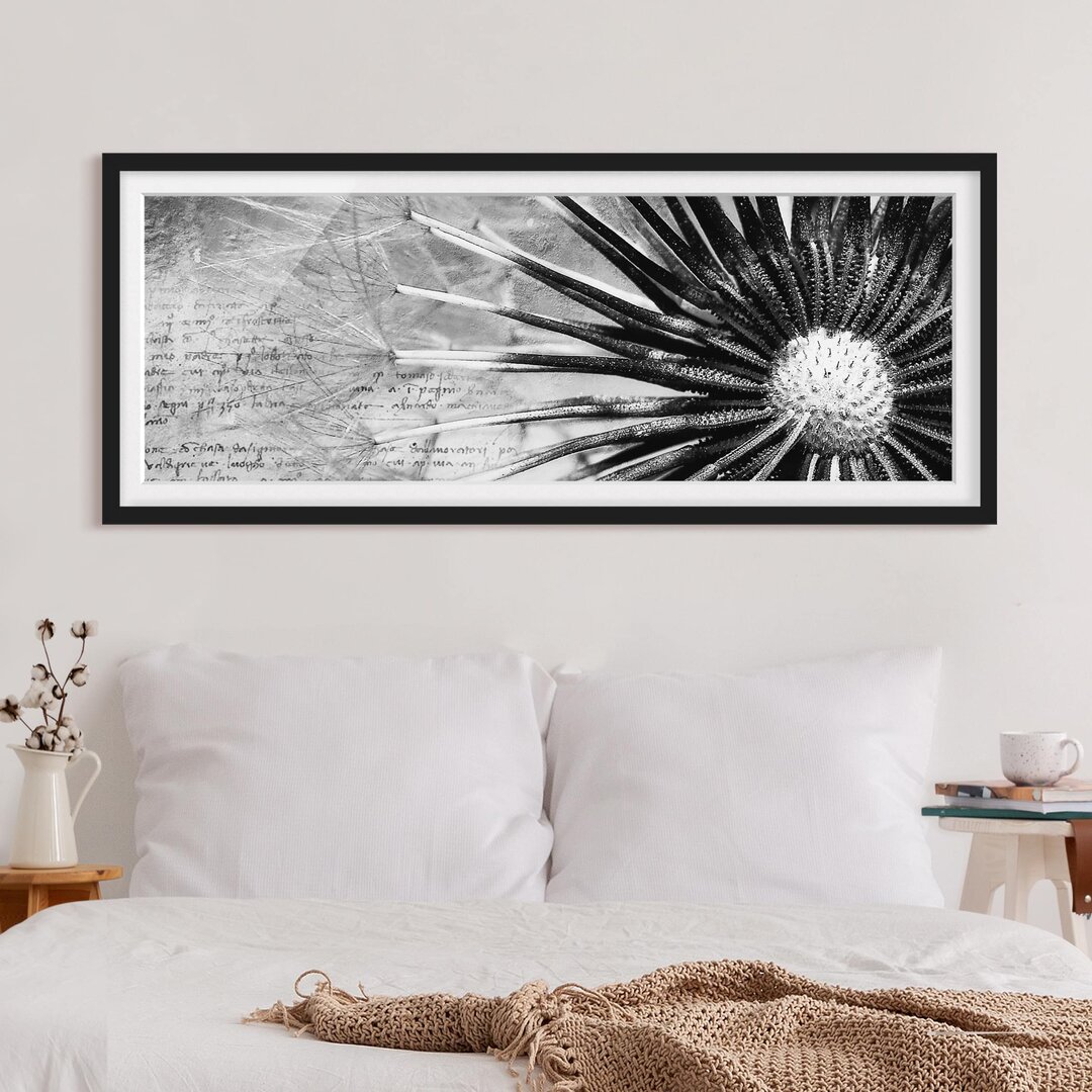 Gerahmtes Poster Dandelion Black & White