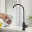 Robinet de filtre à eau de cuisine, robinet d'eau potable-118350804