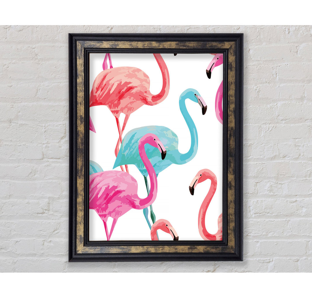 Flamingo Colours - Einzelne Bilderrahmen Kunstdrucke