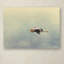 «Blue Heron in Flight 2» par Vidur, impression sur toile tendue-22069141
