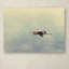 «Blue Heron in Flight 2» par Vidur, impression sur toile tendue-22069143