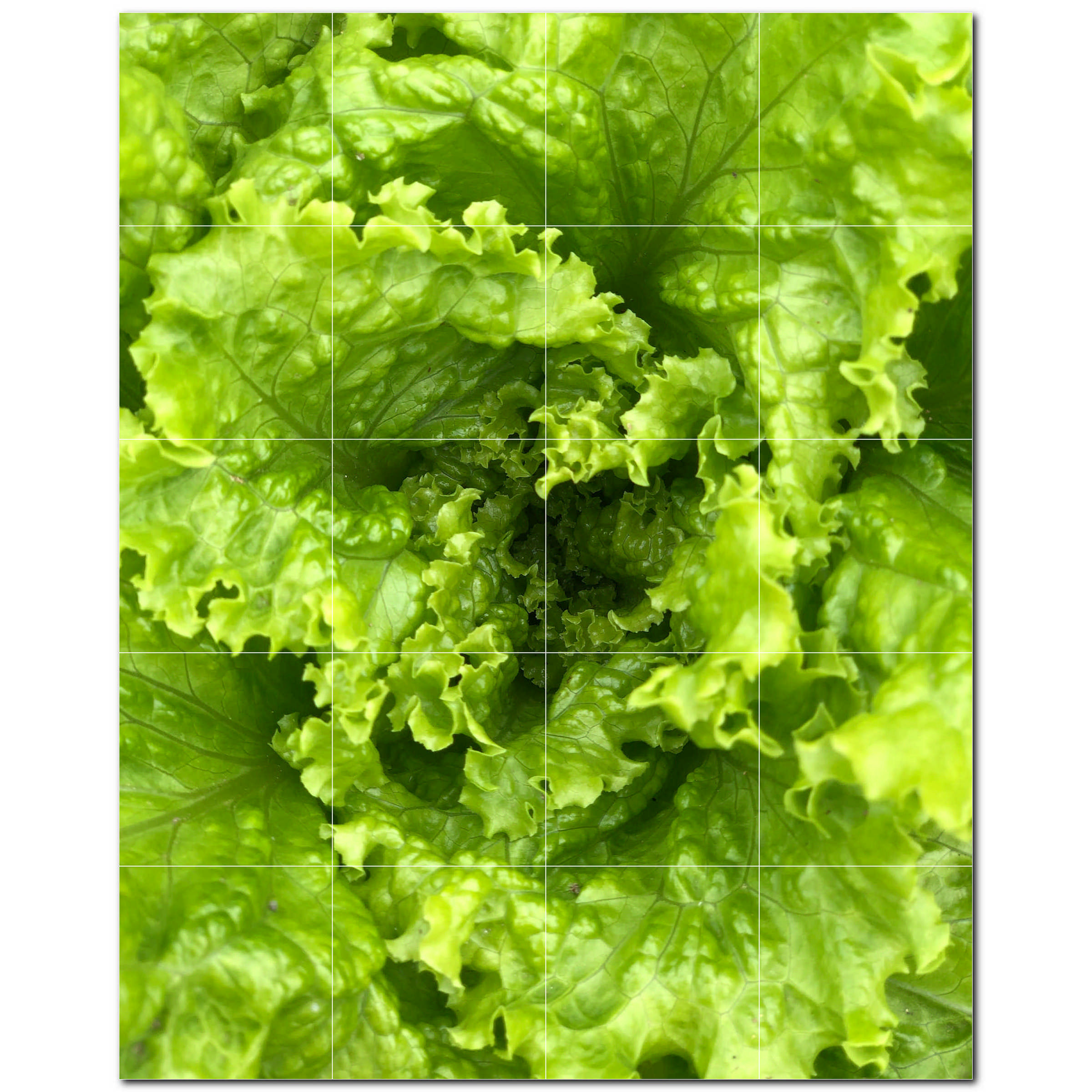 picture-tiles-48-x-60-ceramic-fruit-photo-decorative-mural-tile