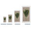 Thym par Olivia Rose - impression sur toile tendue-73842780