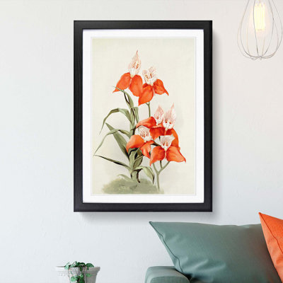 Magnolia Flowers Illustration Tab. 15 by Frederick Sander - Picture Frame Painting Print