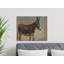 Roane Wrapped Canvas Print Set-1313328592