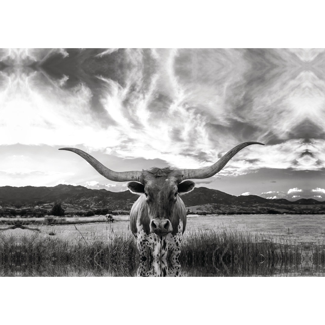 " Black And White Longhorn Cow I " Steelside™ 