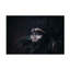 Che Abu Bakar Gothic Queen Canvas Art-109344762