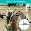 Abbaas 80cm H x 2500cm W Silver Mesh Wire/Mesh Fence