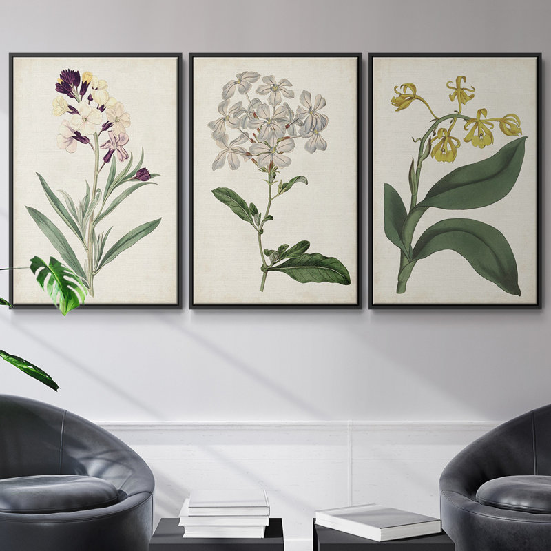 Ensemble de 3 pièces encadrées sur toile Antique Botanical Collection VII, H 40 po x l 78 po, Noir