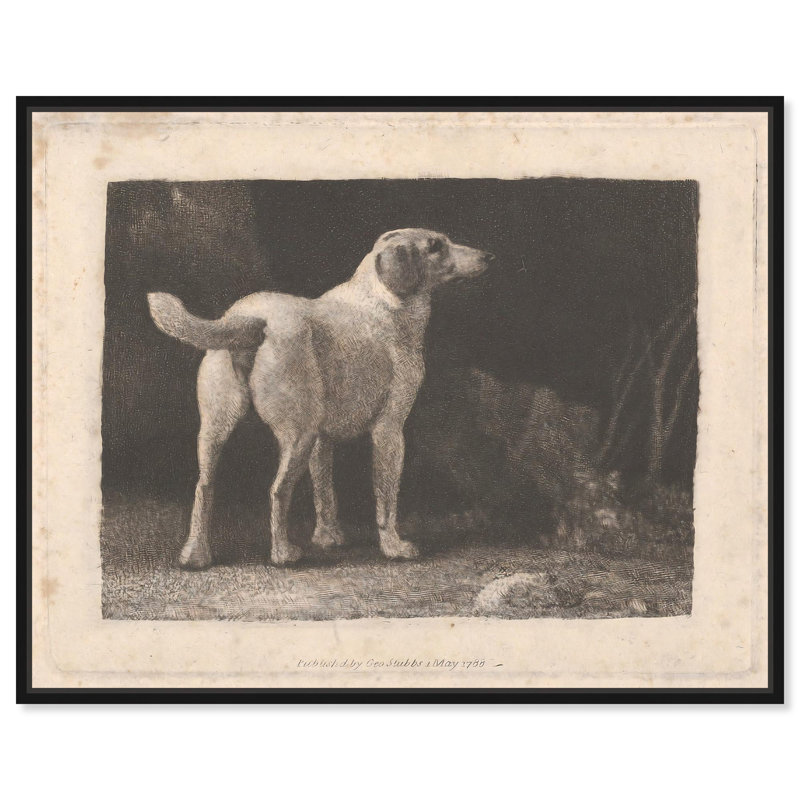 «Dog in Past Vintage» par Art Remedy, H 21 po x l 17 po, Cadre flottant noir