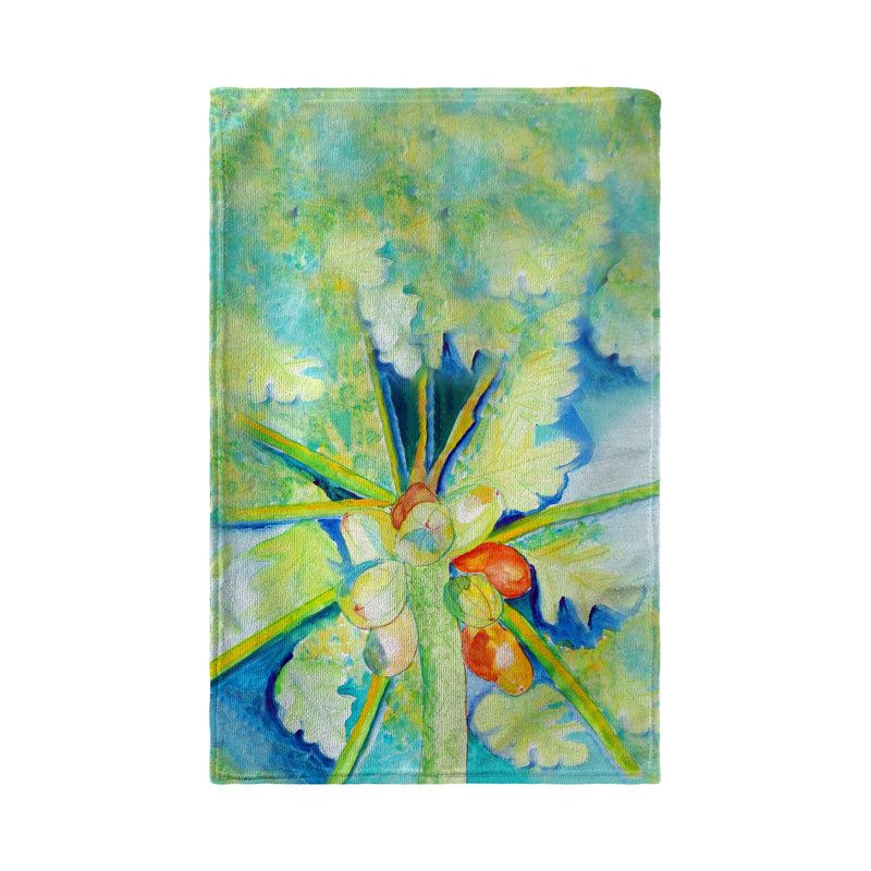 Dish Cloth Kitchen Towel