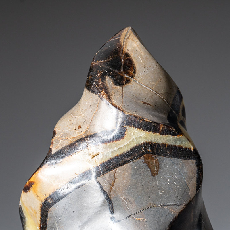 Polished Septarian Flame Freeform from Madagascar (2 Lbs)