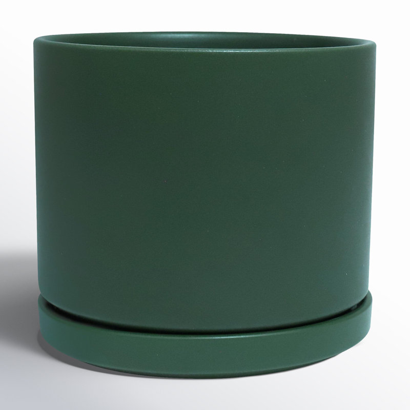 Pot de fleurs en céramique Cheryl, H 9,75 po x l 10,5 po x P 10,5 po, Vert forêt