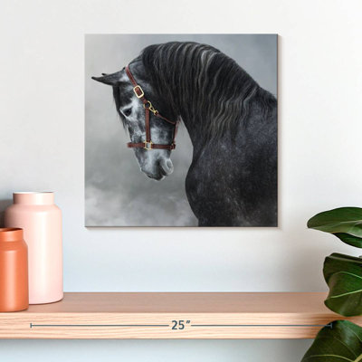 Cheval andalou gris Brampt