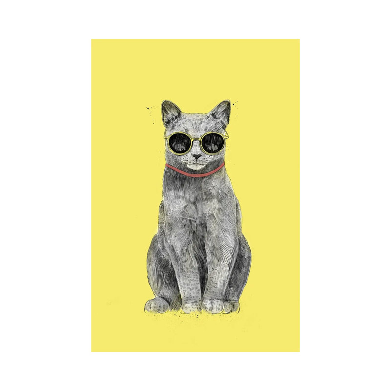 Summer Cat by Balazs Solti - Wrapped Canvas Print, 20.32 cm H x 30.48 cm W