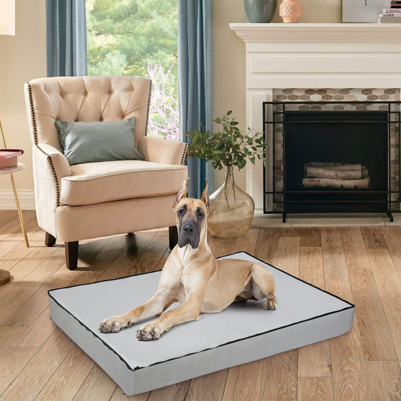 Orthopedic Polyester Pet Bed, 12cm H x 135cm W x 100cm D