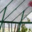 Palram - Canopia Balance 8' W x 16' D Walk-In Hobby Polycarbonate Aluminum Frame Greenhouse Kit with Roof Vents - Green-93871488