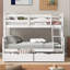 Lit superposé avec échelle-198809969