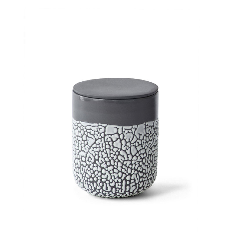 Boîte à fleurs Hosley Lichen Box, Anthracite, H 5 po x l 4 po x P 4 po