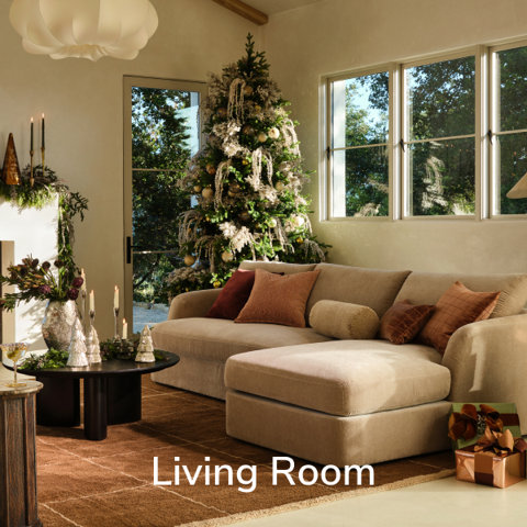 Shop Living Room