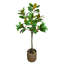 Faux Magnolia Tree in Fiberstone Planter