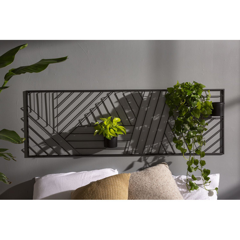 Aesthetic Trellis