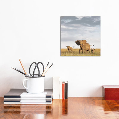 Colour Elephant & Calves by Klaus Tiedge - Print on Canvas