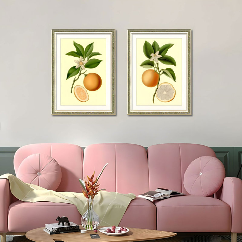 Ensemble de 2 art mural encadré botanique orange fruitier